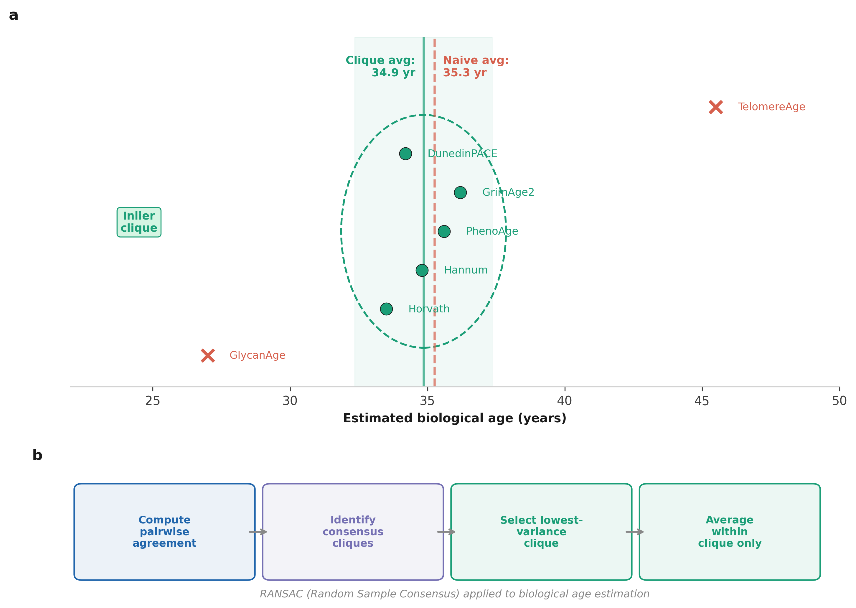 RANSAC applied to biological age estimation: inlier clique identified, outliers discarded